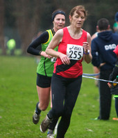 Dublin Masters Cross-Country
