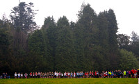 East Leinster Schools Cross-Country