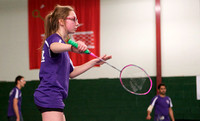 Badminton Ireland Inter-League Finals