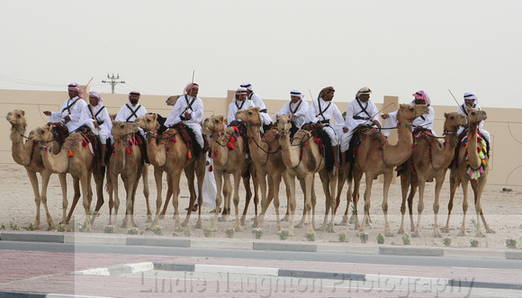 Camel guard for emir.