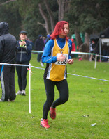 Dublin Masters Cross-Country