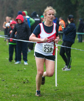 Dublin Masters Cross-Country