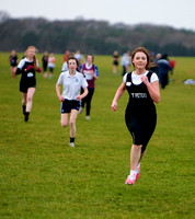 West Leinster Schools Cross-Country